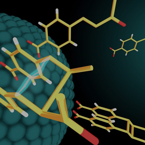 Bioactive Polysaccharides